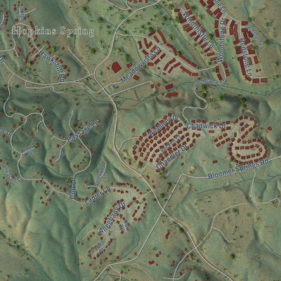 Close-up of the map of Massanutten, Virginia print showing street and building detail