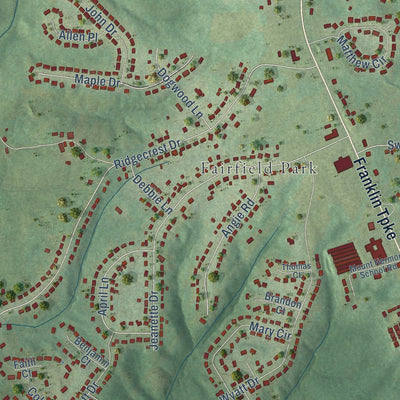 Close-up of the map of Mount Hermon, Virginia print showing street and building detail