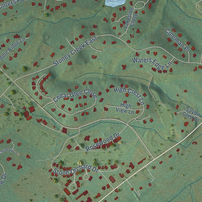 Close-up of the map of Nellysford, Virginia print showing street and building detail