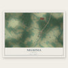 Nelsonia, Virginia map print, the full design
