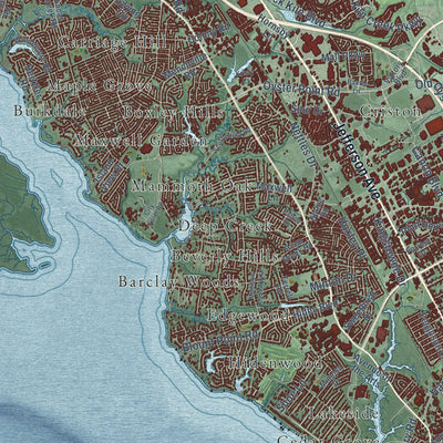 Close-up of the map of Newport News, Virginia print showing street and building detail