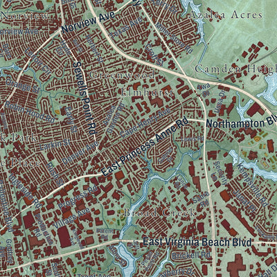Close-up of the map of Norfolk, Virginia print showing street and building detail
