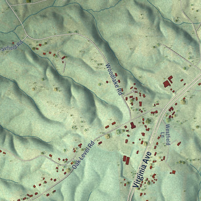 Close-up of the map of Oak Level, Virginia print showing street and building detail