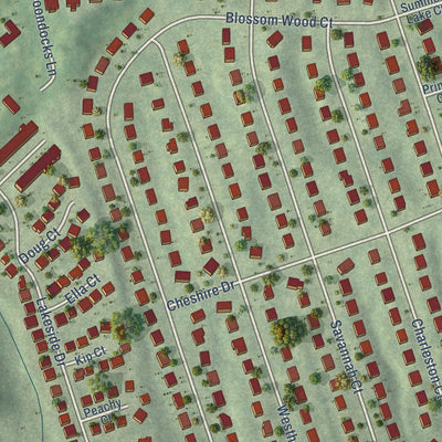 Close-up of the map of Park Ridge, Virginia print showing street and building detail
