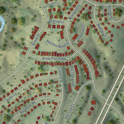 Close-up of the map of Piney Mountain, Virginia print showing street and building detail