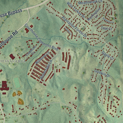 Close-up of the map of Spotsylvania Courthouse, Virginia print showing street and building detail