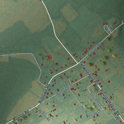 Close-up of the map of Pungoteague, Virginia print showing street and building detail