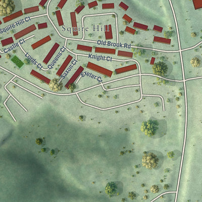 Close-up of the map of Rio, Virginia print showing street and building detail