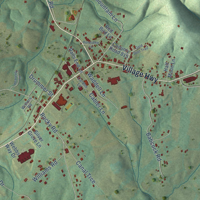 Close-up of the map of Rustburg, Virginia print showing street and building detail