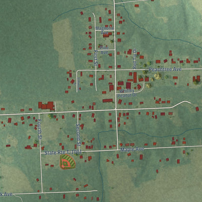 Close-up of the map of Sedley, Virginia print showing street and building detail