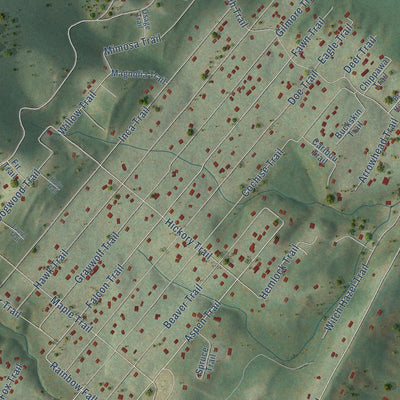 Close-up of the map of Shawneeland, Virginia print showing street and building detail