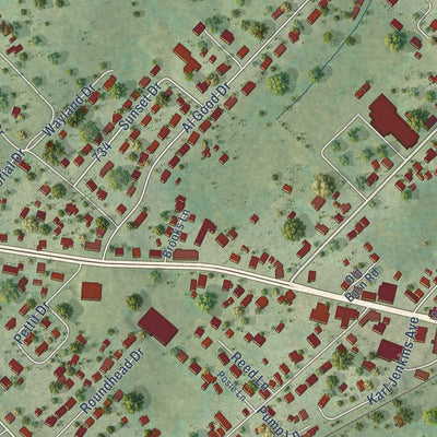 Close-up of the map of Stanley, Virginia print showing street and building detail