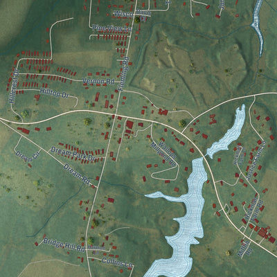Close-up of the map of Wattsville, Virginia print showing street and building detail