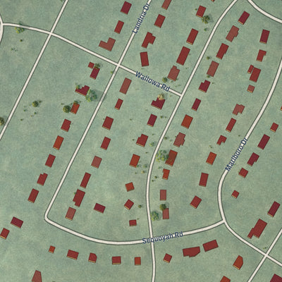 Close-up of the map of Willow Oaks, Virginia print showing street and building detail