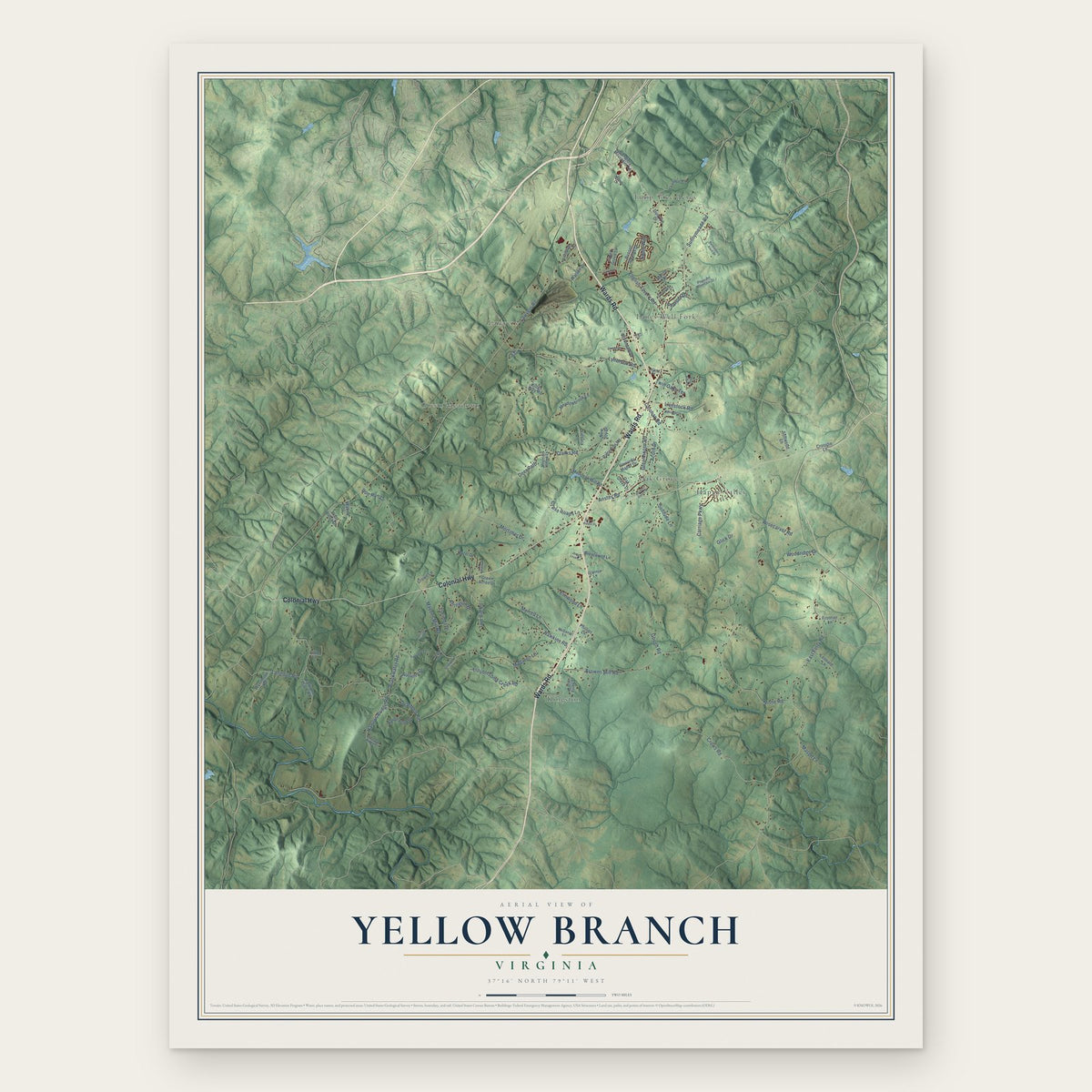 Yellow Branch, Virginia map print, the full design
