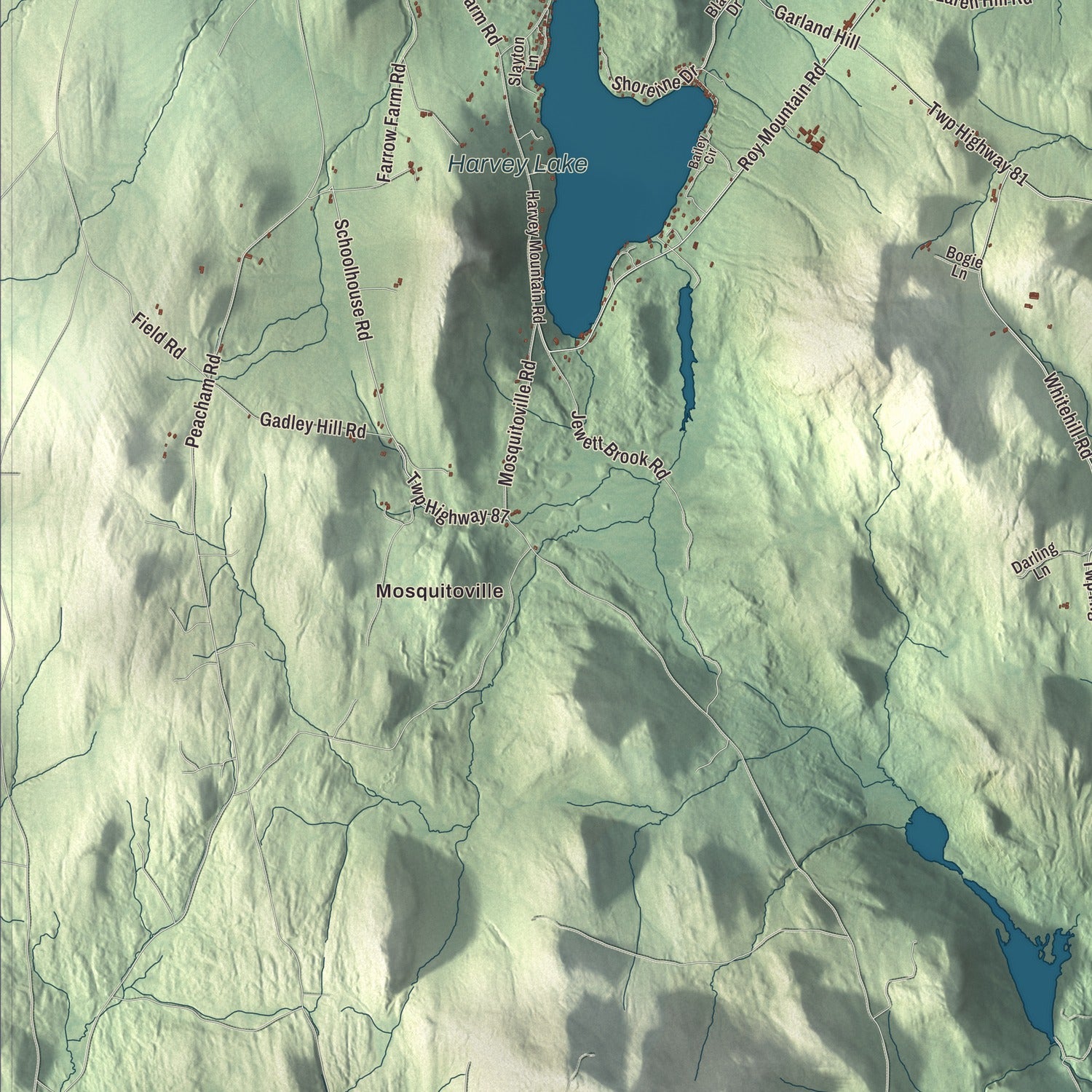 Street and neighborhood detail from the Barnet, Vermont map