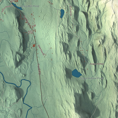 Street and neighborhood detail from the Brandon, Vermont map