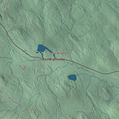 Street and neighborhood detail from the Brighton, Vermont map