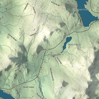 Street and neighborhood detail from the Cabot, Vermont map