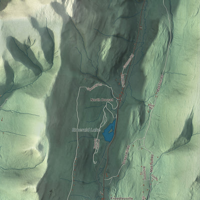 Street and neighborhood detail from the Dorset, Vermont map