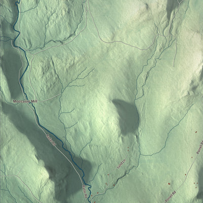 Street and neighborhood detail from the Granby, Vermont map
