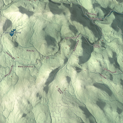 Street and neighborhood detail from the Jamaica, Vermont map