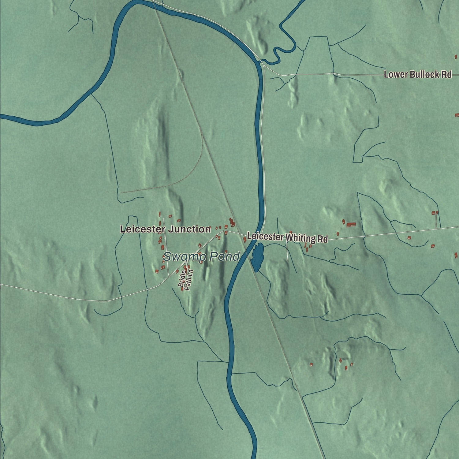 Street and neighborhood detail from the Leicester, Vermont map