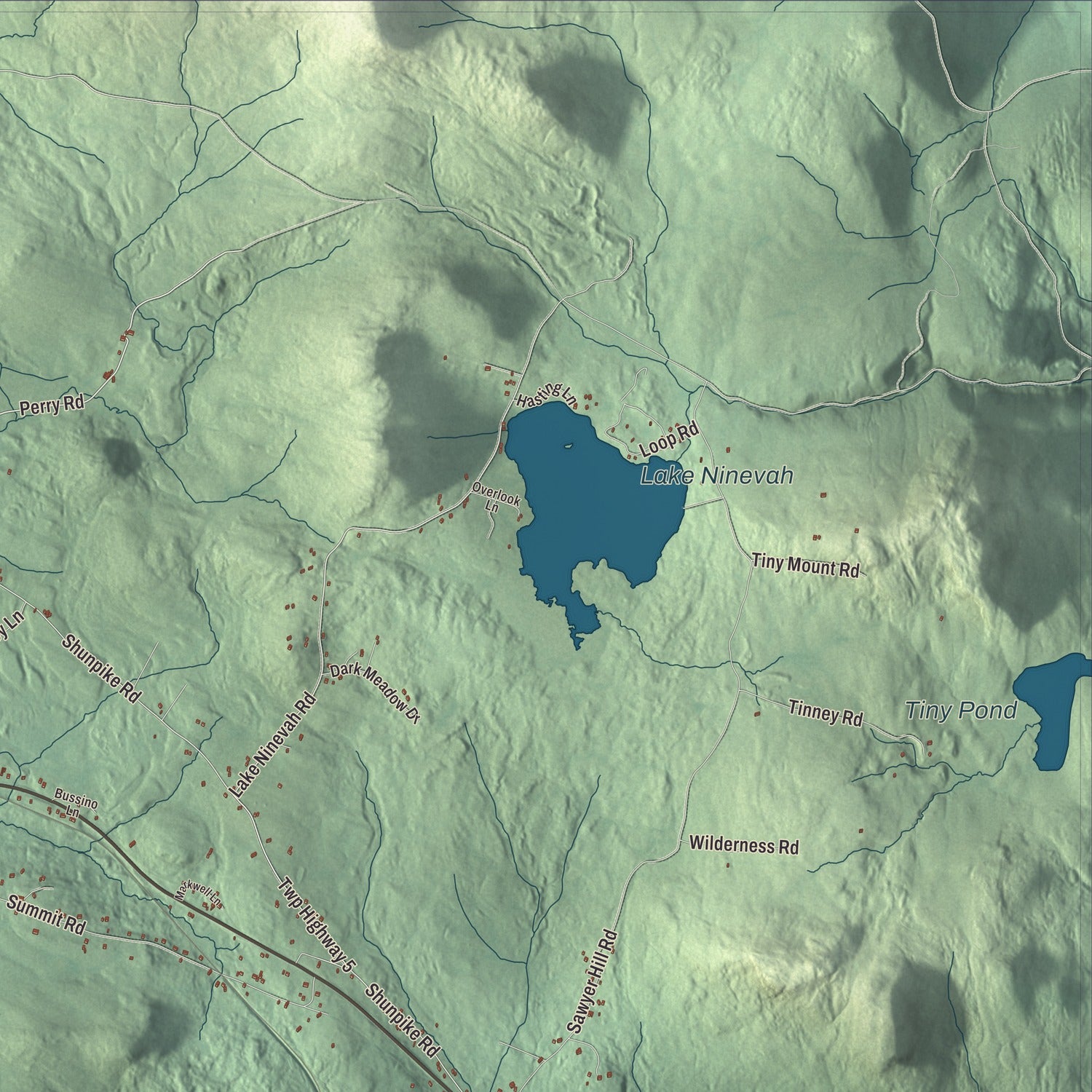Terrain and local geography detail from the Mount Holly, Vermont map