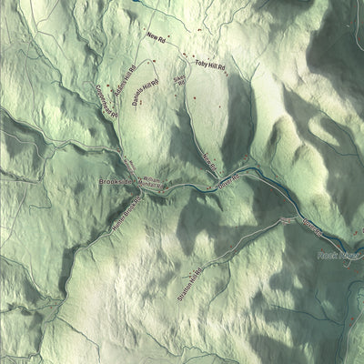 Street and neighborhood detail from the Newfane, Vermont map