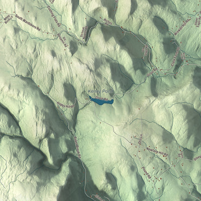 Terrain and local geography detail from the Newfane, Vermont map