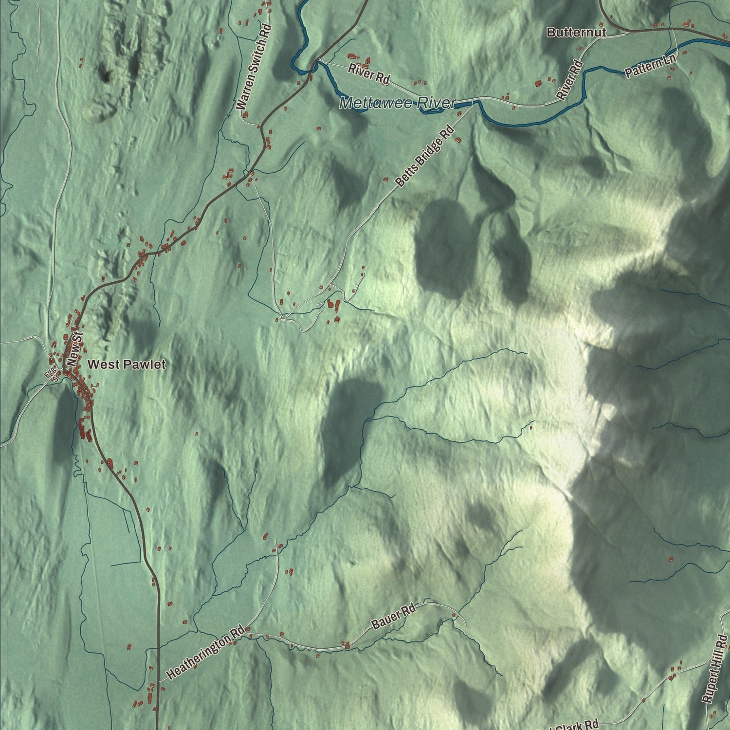 Street and neighborhood detail from the Pawlet, Vermont map