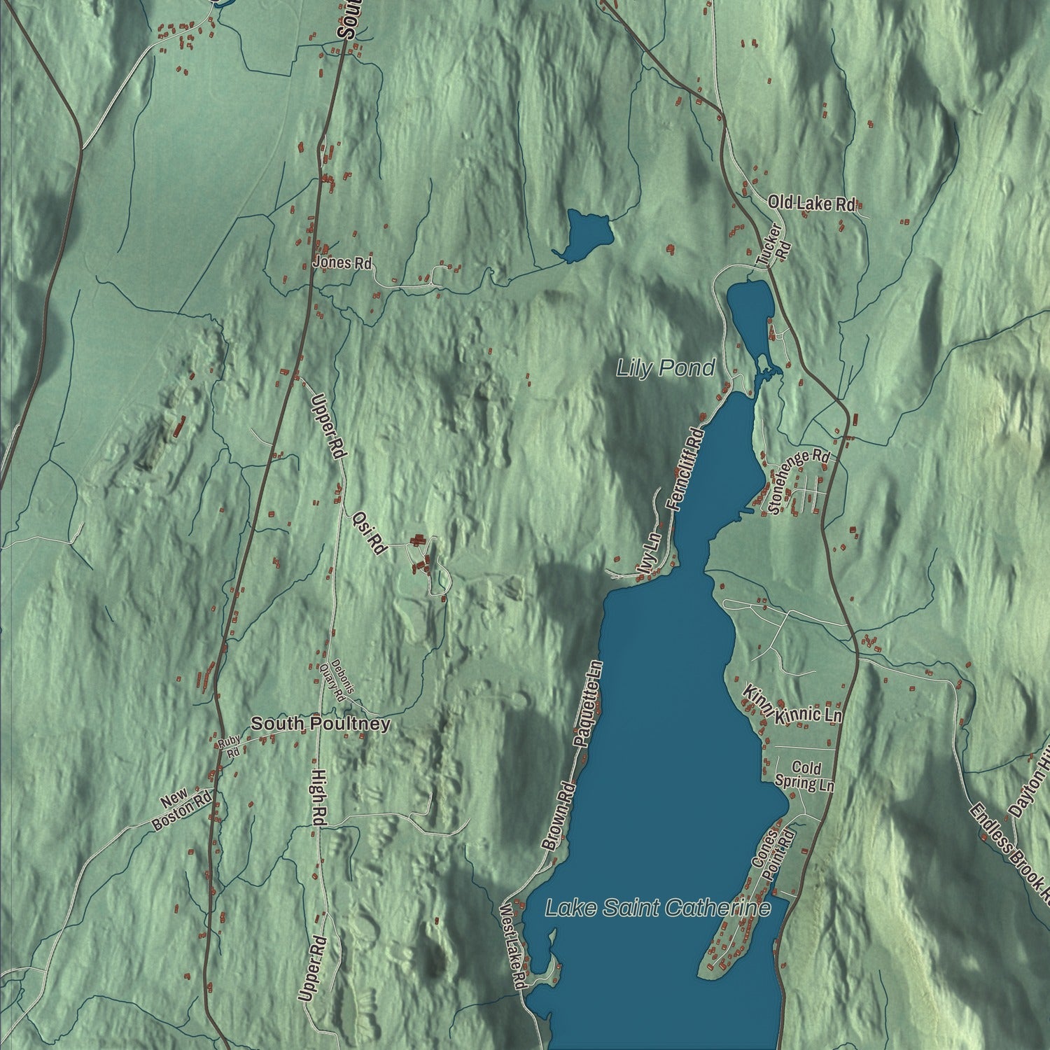 Street and neighborhood detail from the Poultney, Vermont map