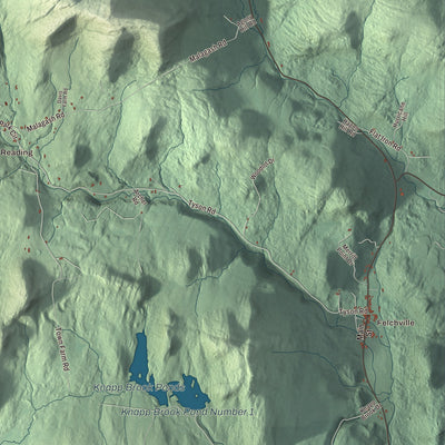 Street and neighborhood detail from the Reading, Vermont map