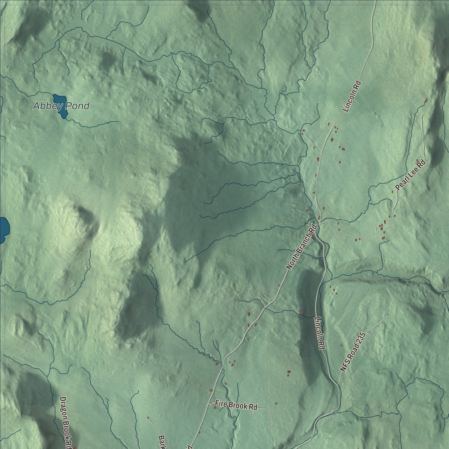 Terrain and local geography detail from the Ripton, Vermont map