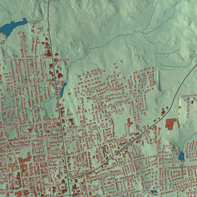 Street and neighborhood detail from the Rutland Town, Vermont map