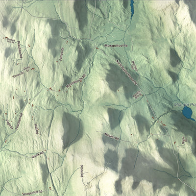 Street and neighborhood detail from the Ryegate, Vermont map