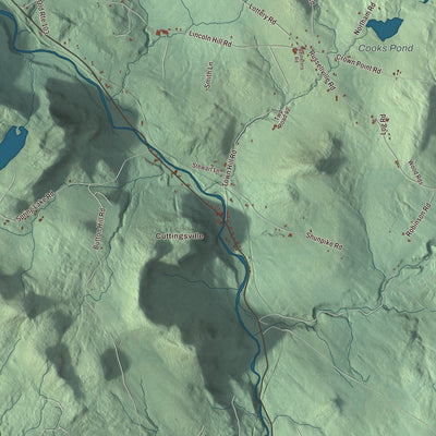 Street and neighborhood detail from the Shrewsbury, Vermont map