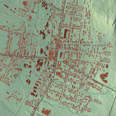 Terrain and local geography detail from the St. Albans Town, Vermont map