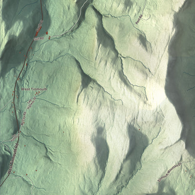 Street and neighborhood detail from the Tinmouth, Vermont map