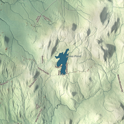 Terrain and local geography detail from the Walden, Vermont map