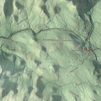 Street and neighborhood detail from the Wallingford, Vermont map
