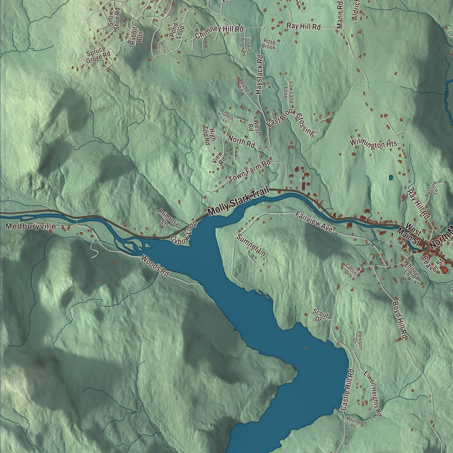 Street and neighborhood detail from the Wilmington, Vermont map