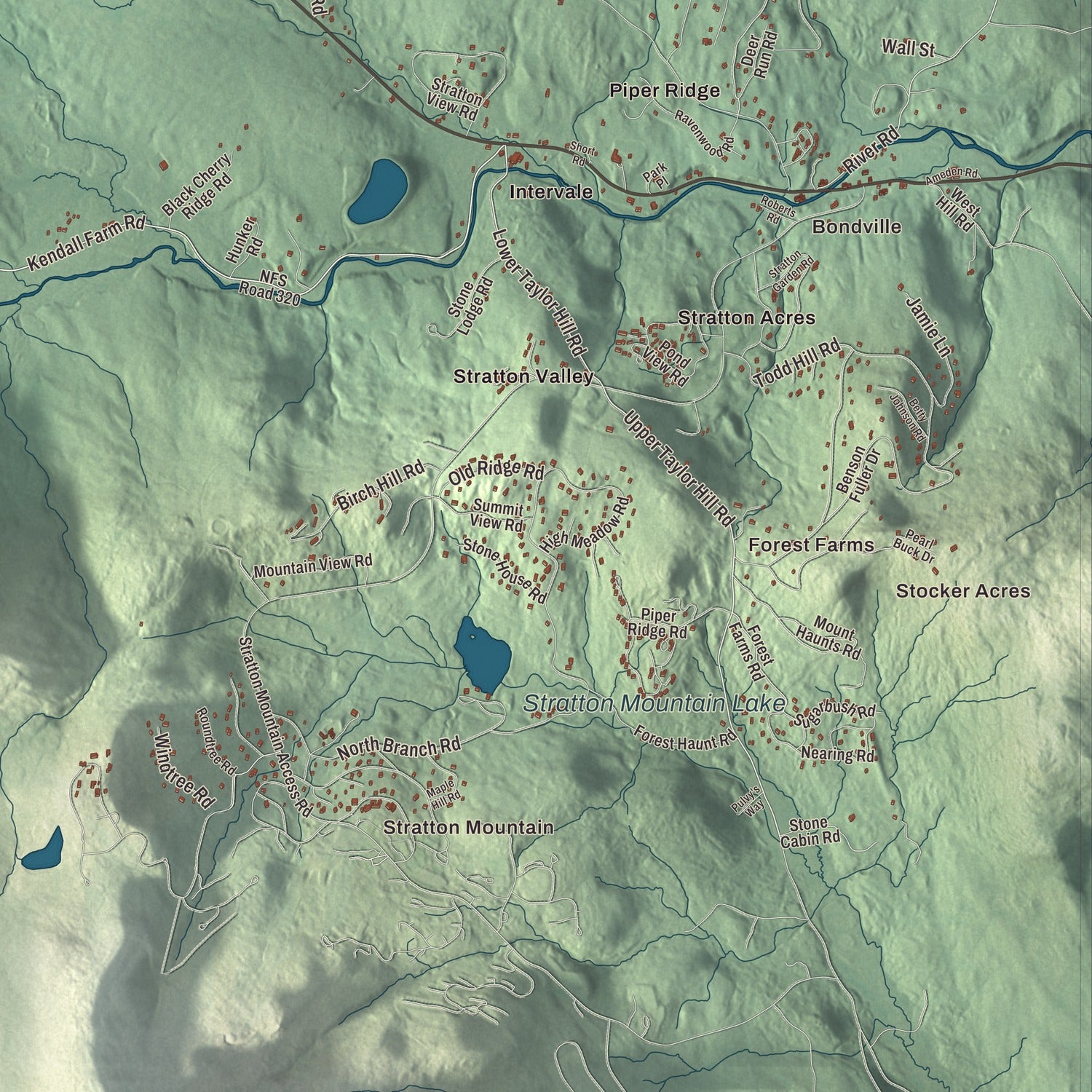 Street and neighborhood detail from the Winhall, Vermont map