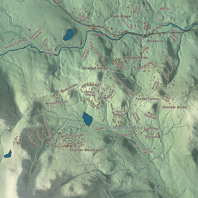 Street and neighborhood detail from the Winhall, Vermont map