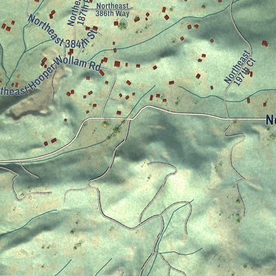 Close-up of the map of Amboy, Washington print showing street and building detail