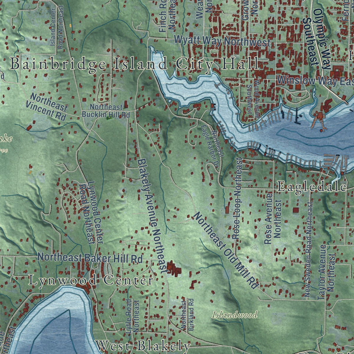 Close-up of the map of Bainbridge Island, Washington print showing street and building detail