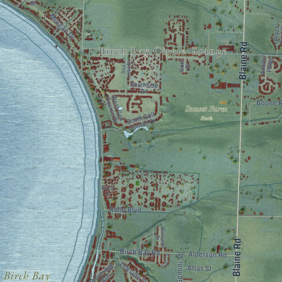 Close-up of the map of Birch Bay, Washington print showing street and building detail