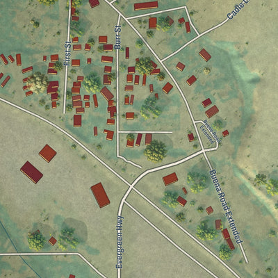 Close-up of the map of Buena, Washington print showing street and building detail