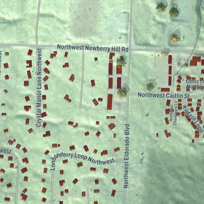 Close-up of the map of Chico, Washington print showing street and building detail