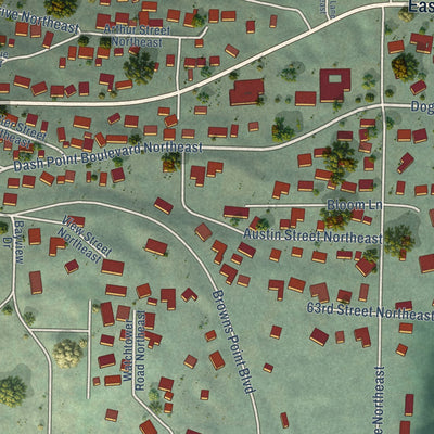 Close-up of the map of Dash Point, Washington print showing street and building detail